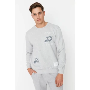 Trendyol Sweatshirt - Gray - Regular fit