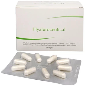 FYTOFONTANA Hyaluroceutical 60 kapslí
