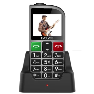 Mobilný telefón Evolveo EasyPhone FM strieborný (EP-800-FMS... Mobilní telefon