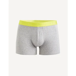 Celio Boxers Dinorfluo - Men