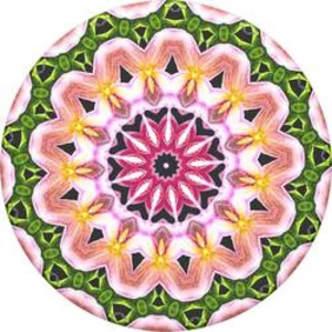 Stojan na mobil POPSOCKETS Orchid Mandala N/A, viacfarebná