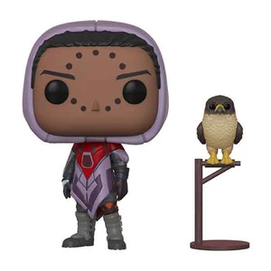 POP! Hawthorne with Hawk (Destiny)