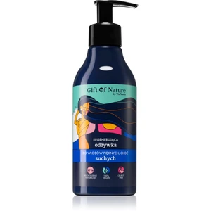 Vis Plantis Gift of Nature regeneračný kondicionér pre suché vlasy 300 ml