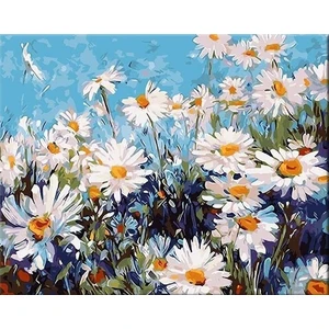 Zuty Painting by Numbers Daisies