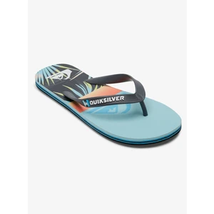 Pánské žabky Quiksilver MOLOKAI PANEL