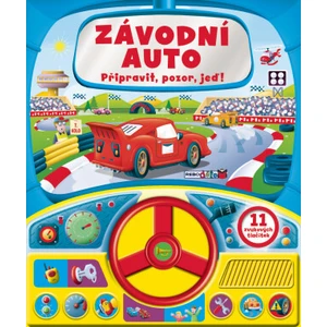 Závodní auto