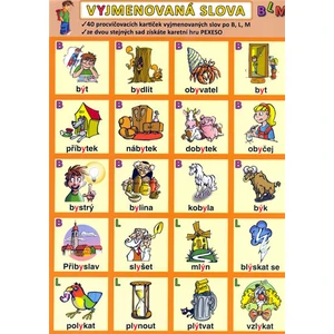 Vyjmenovaná slova BLM - Petr Kupka