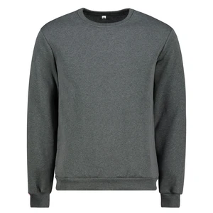 Men's sweatshirt by Aliatic