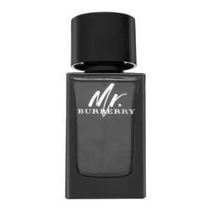 Burberry Mr. Burberry parfémovaná voda pre mužov 100 ml