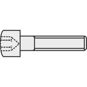 Šroub s válcovou hlavou Toolcraft, M5, 12 mm, vnitřní šestihran, černá