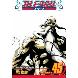 Bleach 45 (anglicky) - Kubo Tite