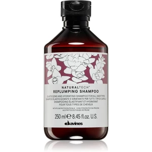 Davines Naturaltech Replumping hydratačný šampón 250 ml