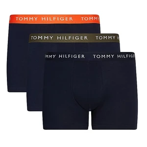 Tommy Hilfiger 3 PACK - pánske boxerky UM0UM02324-0UG L