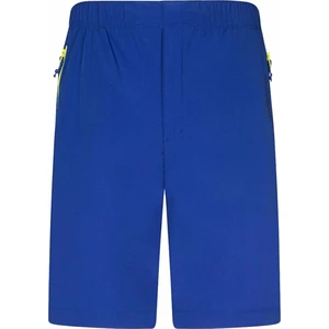 Rock Experience Powell 2.0 Shorts Man Pant Surf The Web/Evening Primrose M Spodenki outdoorowe