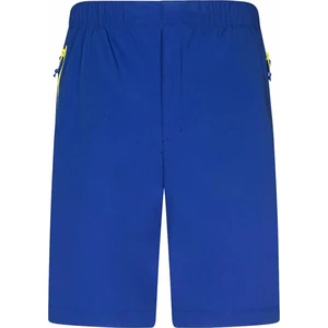 Rock Experience Powell 2.0 Shorts Man Pant Surf The Web/Evening Primrose M Spodenki outdoorowe