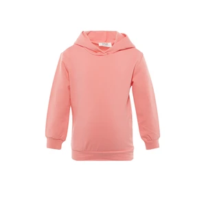 Trendyol Sweatshirt - Pink - Regular fit