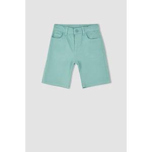 DEFACTO Regular Fit Short