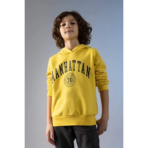 DEFACTO Boys Regular Fit Hoodie Sweatshirt