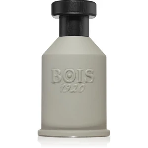 Bois 1920 Itruk parfumovaná voda unisex 100 ml