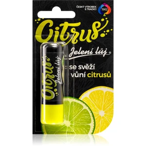 Regina Citrus jelení lůj citrus 4.5 g