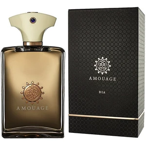 Amouage Dia parfumovaná voda pre mužov 100 ml