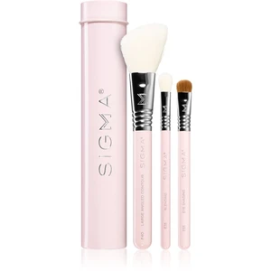 Sigma Beauty Essential Trio Brush Set sada štětců s pouzdrem III.