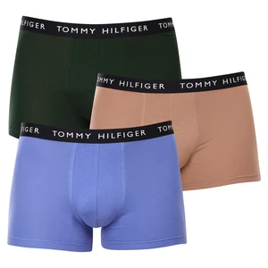 3PACK Men's Boxers Tommy Hilfiger Multicolor (UM0UM02203 0V1)