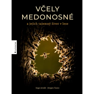 Včely medonosné a jejich tajemný život v lese - Jürgen Tautz