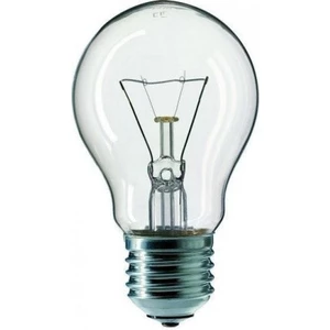 Žárovka čirá TES-LAMP otřesuvzdorná 40W A55 240V E27