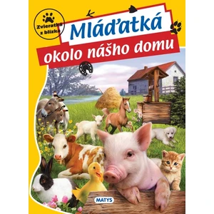 Mláďatká okolo nášho domu
