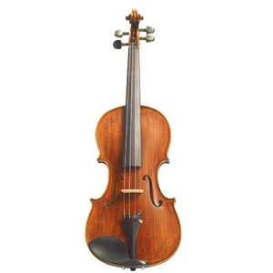 Stentor Arcadia 4/4 Violin