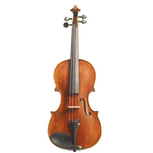 Stentor Arcadia 4/4 Violino Acustico