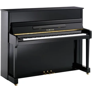 Yamaha P 116 M Abanos lustruit