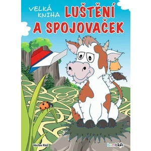Velká kniha luštění a spojovaček - Ráž Václav