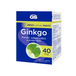 GS Ginkgo 40 mg 90 + 30 tabliet