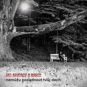 Jan Spálený Nemůžu popadnout tvůj dech Hudební CD
