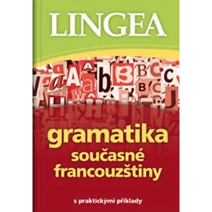 Gramatika současné francouzštiny s praktickými příklady
