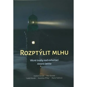 Rozptýlit mlhu -- Věcné úvahy nad exhortací Amoris laetitia