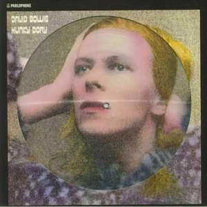 David Bowie Hunky Dory (Picture Disc) (LP)