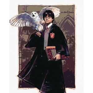 Zuty Malowanie po numerach Harry Potter i Hedwiga w Hogwarcie