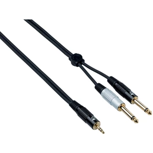 Bespeco EAYMSJ500 5 m Cable de audio
