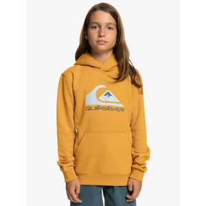 Boy's sweatshirt Quiksilver BIG LOGO