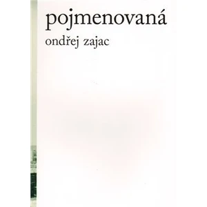 Pojmenovaná - Zajac Ondřej