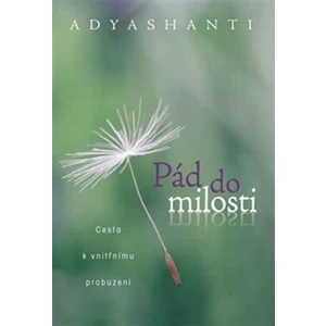 Pád do milosti - Adyshanti