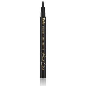 Delia Cosmetics Shape Master oční linky v peru odstín Black 2 ml