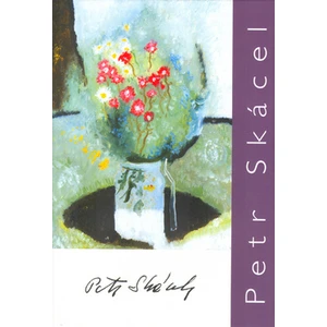 Petr Skácel - Skácel Petr