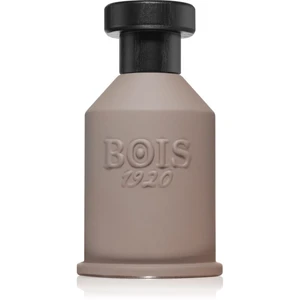 Bois 1920 Nagud parfémovaná voda unisex 100 ml