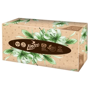 Linteo Paper Tissues Two-ply Paper, 100 pcs per box papierové vreckovky 100 ks