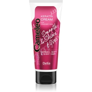 Delia Cosmetics Cameleo Smooth & Shine 60 sec krém na vlasy pro lesk a hebkost vlasů 250 ml