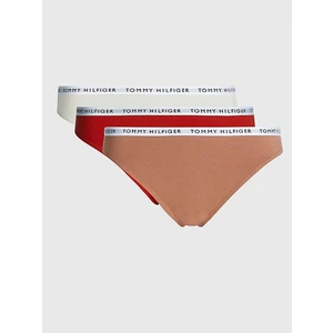 3PACK Women's Panties Tommy Hilfiger Multicolor (UW0UW02828 0R2)